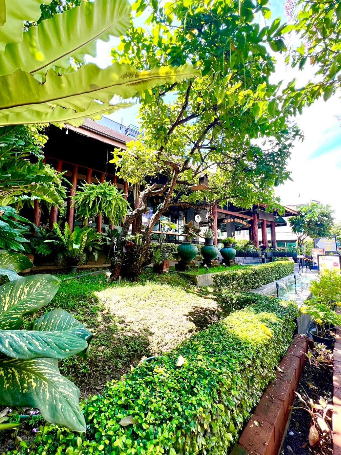 Hotel Le Naview @Prasingh Chiang Mai Zewnętrze zdjęcie